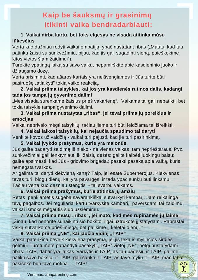 Kaip be šauksmų ir grasinimų įtikinti vaiką bendradarbiauti (2019)